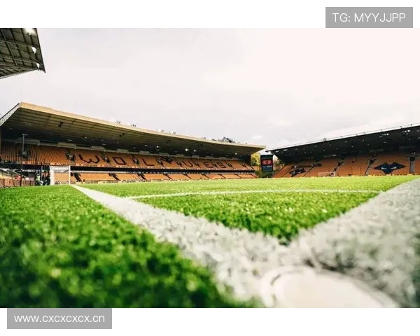 英超狼队新球场建设进展与未来规划 英超狼队新球场建设进展与未来规划